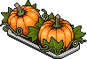 Emberkin Pumpkin